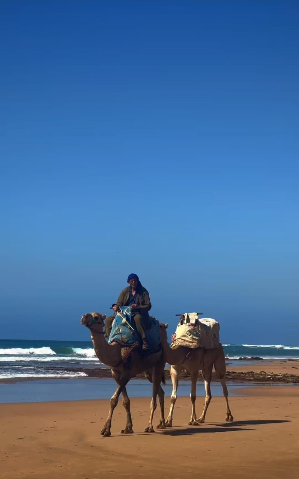 La Suite تغازوت المظهر الخارجي الصورة